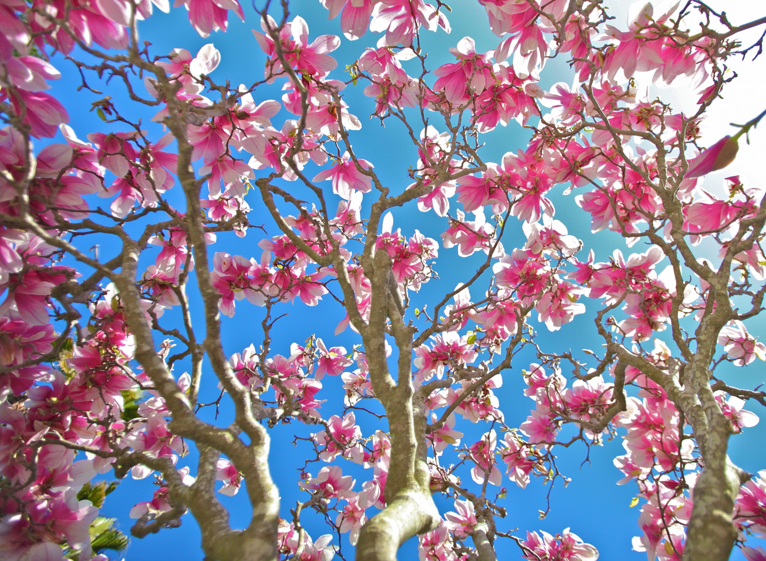 A Reflection for Easter Monday