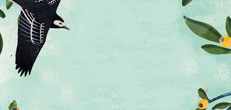 A Bird, A Girl, A Rescue: Changing the Stories We Are Stuck In
